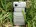 Land Rover D6 Pro 64GB Octa Core LTE